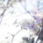 12.子音+ㄢ(an)