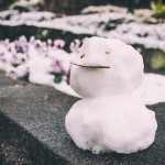 アラサーで焦りや不安を感じて行きたいワーホリ諦める前に考えるべきこととは？