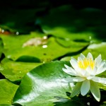 22.子音+一ㄣ(in)